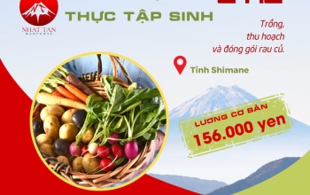 Đơn hàng thu hoạch và đóng gói rau, củ tỉnh Shimane