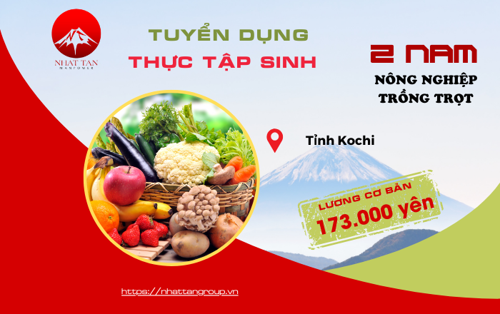  Đơn Hàng  Nông Nghiệp Tuyển TTS Nam Trồng Và Đóng Gói Rau Củ Tỉnh Kochi.